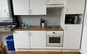 Roseman III - Centraly Located, Old Spacious Apartment